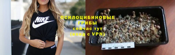 дживик Михайловка