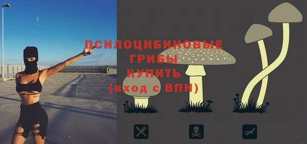 дживик Михайловка