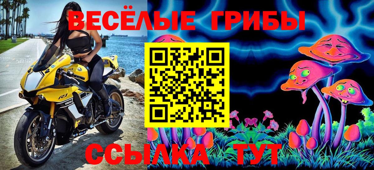 Псилоцибиновые грибы прущие грибы  наркота  Курчатов  Вход с VPN 